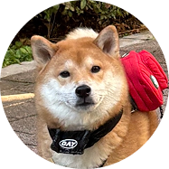 Man-Juu - Sales Dog 영업 담당 멍